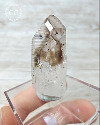 Smoky Goboboseb (Brandberg) Hematite Quartz #12