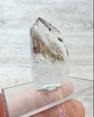 Smoky Goboboseb (Brandberg) Hematite Quartz #12