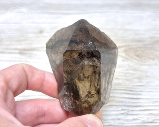 Smoky Lodolite Quartz #2