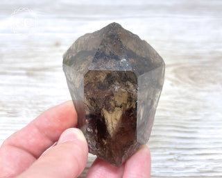 Smoky Lodolite Quartz #2