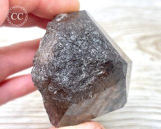 Smoky Lodolite Quartz #2