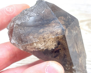 Smoky Lodolite Quartz #2