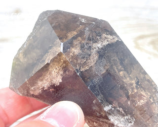 Smoky Lodolite Quartz #2