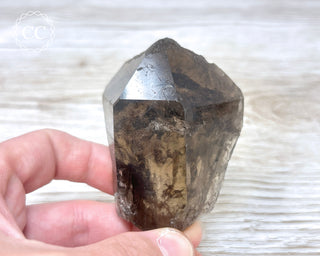 Smoky Lodolite Quartz #2