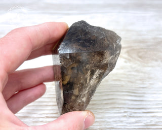 Smoky Lodolite Quartz #2