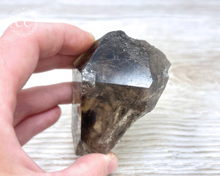 Smoky Lodolite Quartz #2