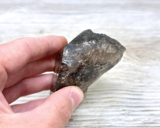 Smoky Lodolite Quartz #2