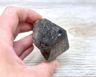 Smoky Lodolite Quartz #2