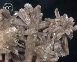 Smoky Quartz Cluster #1