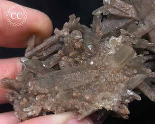 Smoky Quartz Cluster #1