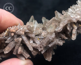 Smoky Quartz Cluster #1