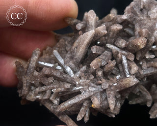 Smoky Quartz Cluster #1