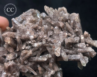 Smoky Quartz Cluster #1
