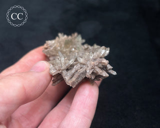 Smoky Quartz Cluster #1