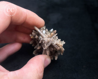 Smoky Quartz Cluster #1