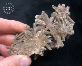 Smoky Quartz Cluster #1