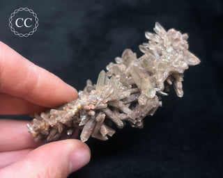 Smoky Quartz Cluster #1