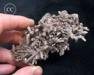 Smoky Quartz Cluster #1