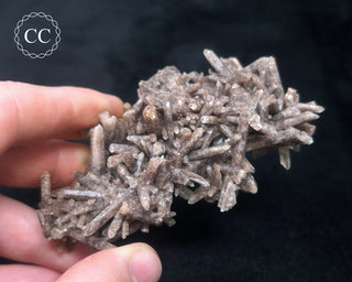 Smoky Quartz Cluster #1
