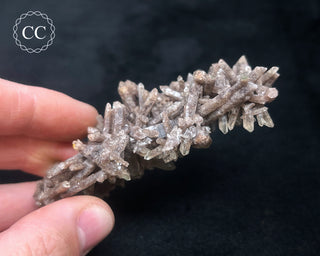 Smoky Quartz Cluster #1