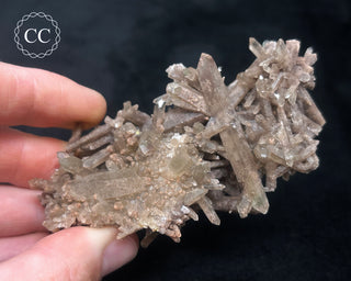 Smoky Quartz Cluster #1