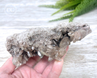 Smoky Lodolite Cluster #1