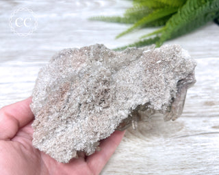 Smoky Lodolite Cluster #1