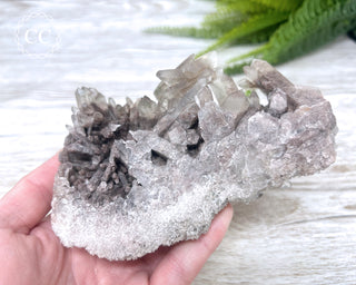 Smoky Lodolite Cluster #1
