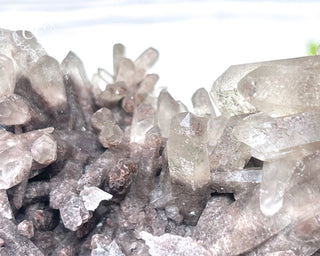 Smoky Lodolite Cluster #1