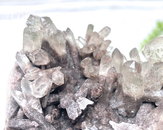 Smoky Lodolite Cluster #1