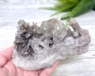 Smoky Lodolite Cluster #1