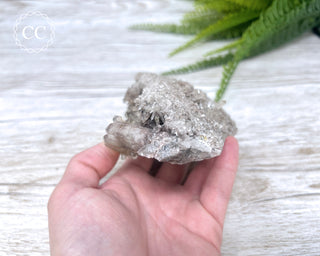Smoky Lodolite Cluster #1