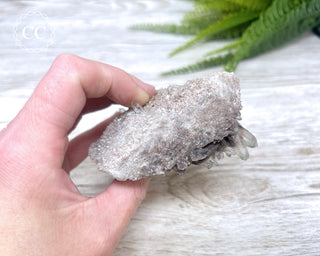 Smoky Lodolite Cluster #1