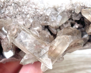 Smoky Lodolite Cluster #1