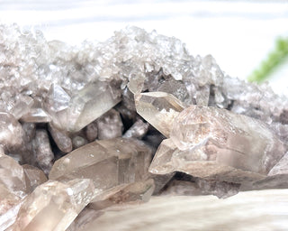 Smoky Lodolite Cluster #1