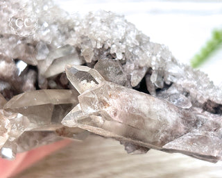 Smoky Lodolite Cluster #1