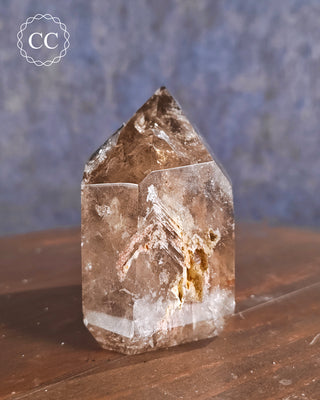 Smoky Lodolite Quartz Tower #3