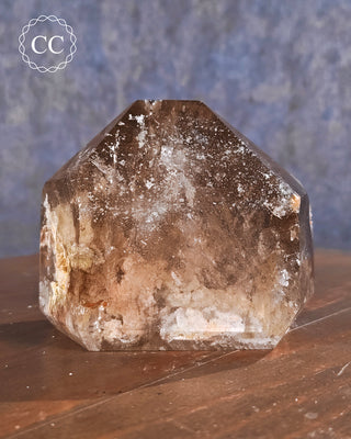 Smoky Lodolite Quartz Tower #3