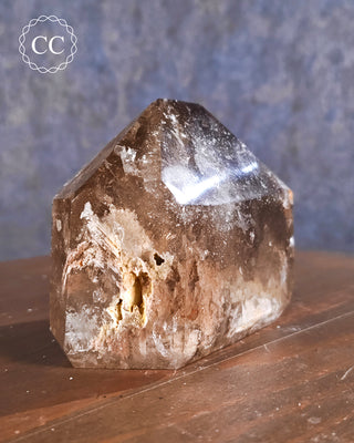 Smoky Lodolite Quartz Tower #3