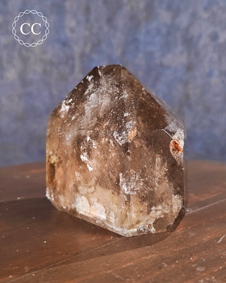 Smoky Lodolite Quartz Tower #3
