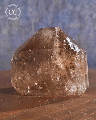 Smoky Lodolite Quartz Tower #3