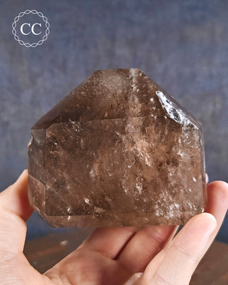 Smoky Lodolite Quartz Tower #3