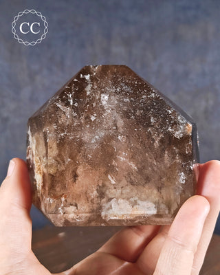 Smoky Lodolite Quartz Tower in hand on blue background
