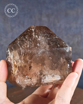 Smoky Lodolite Quartz Tower #3