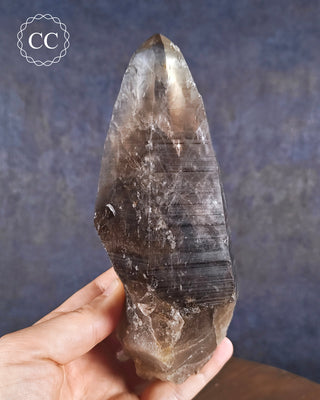 Large Smoky Quartz Natural Point in hand on blue background