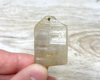 Smoky Quartz Crystal - Hallelujah Junction #2