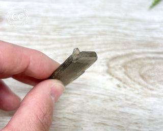 Smoky Quartz Crystal - Hallelujah Junction #1