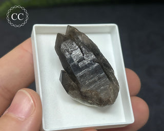 Smoky Quartz Specimen - Sardinia #1