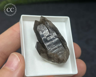 Smoky Quartz Specimen - Sardinia #1