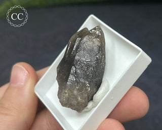 Smoky Quartz Specimen - Sardinia #1